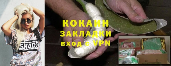 сатива Ладушкин