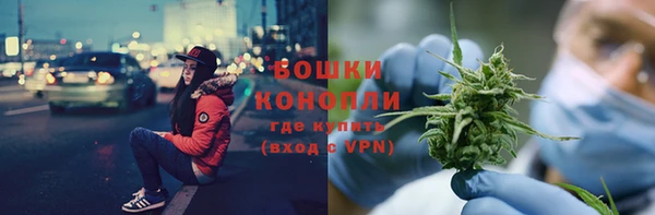 сатива Ладушкин