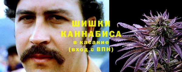 сатива Ладушкин