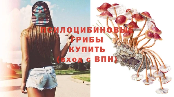сатива Ладушкин