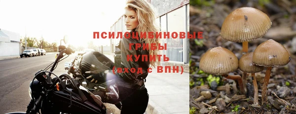 сатива Ладушкин