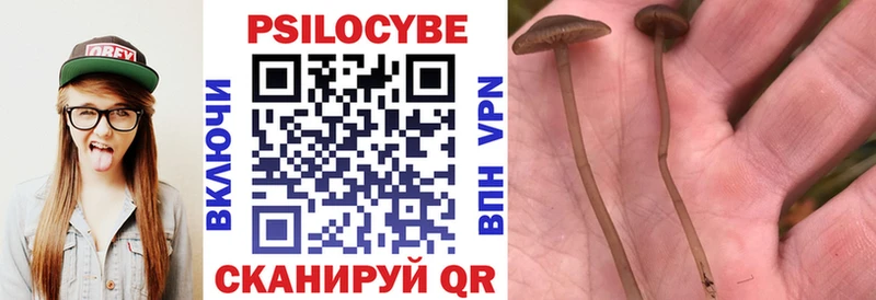Купить закладки Боровичи Псилоцибиновые грибы GOLDEN TEACHER